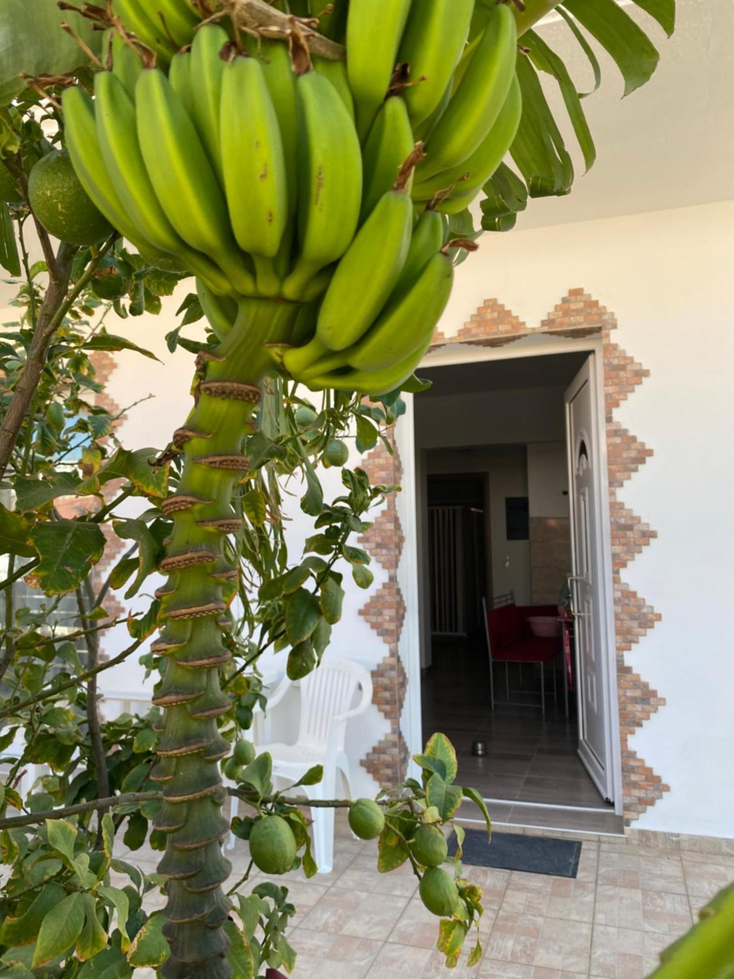 Villa Tassos-Haus Archangelos  Esterno foto